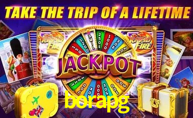 Sistemas de Segurança borapg